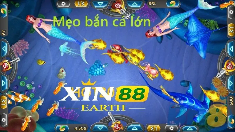 Hack bắn cá hiệu quả là nắm rõ luật trước khi tham gia