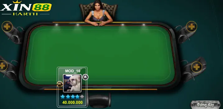 Các thuật ngữ thường gặp trong xì tố Xin88